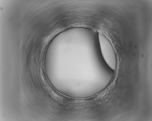 X0000060800145200511101019