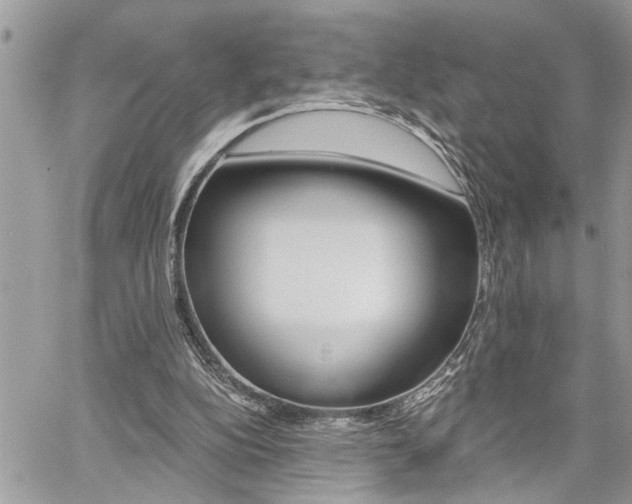 X0000060800152200511101019