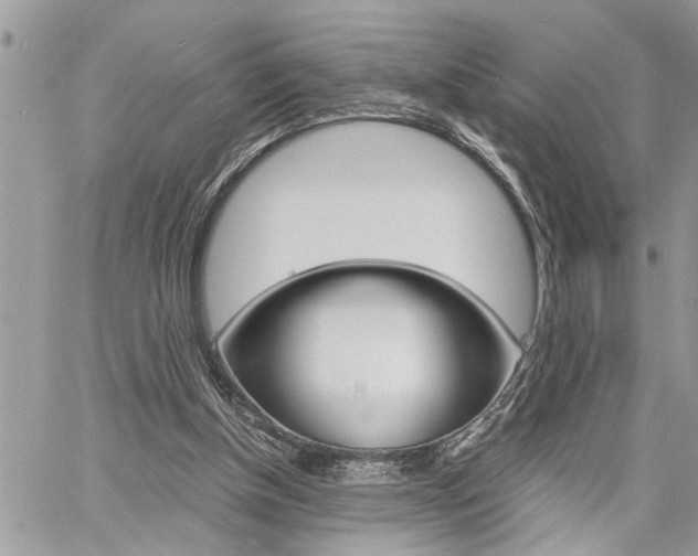 X0000060800154200511101019