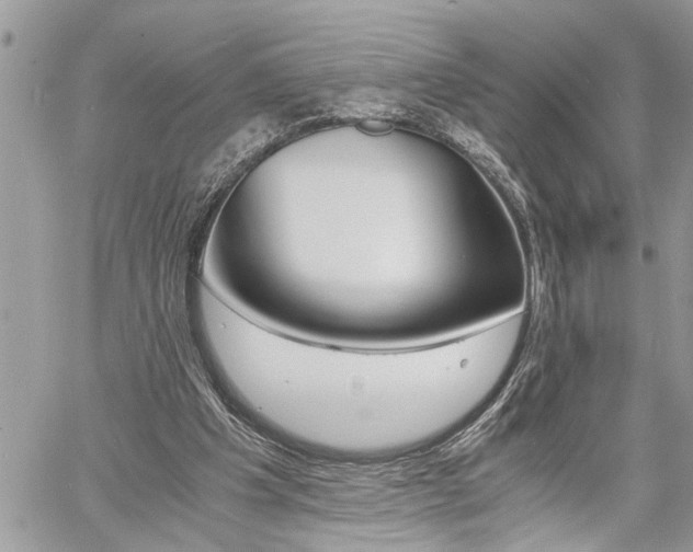 X0000060800201200511101019
