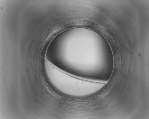 X0000060800207200511101018