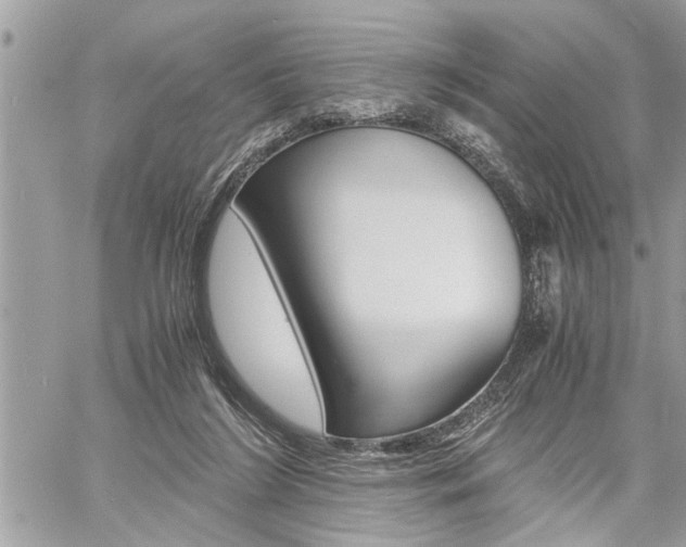 X0000060800212200511101018