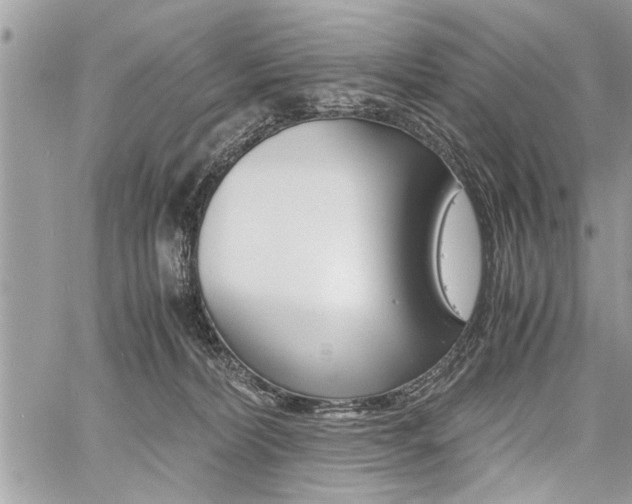 X0000060800228200511101018