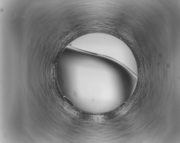 X0000060800233200511101018