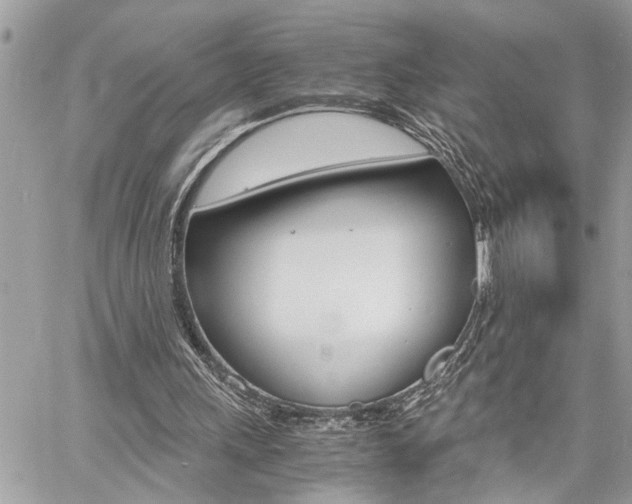 X0000060800243200511101017