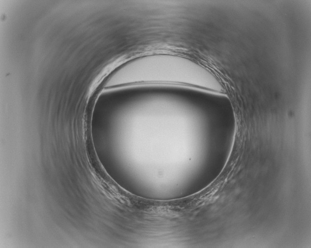 X0000060800244200511101017