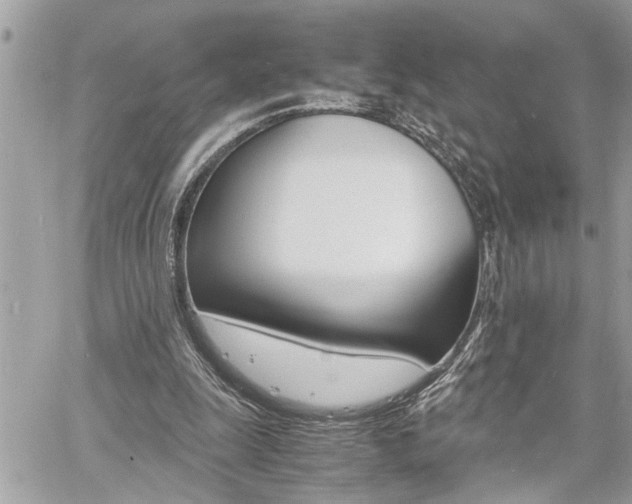 X0000060800247200511101017