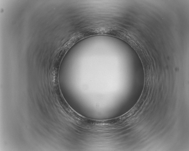 X0000060800268200511101018