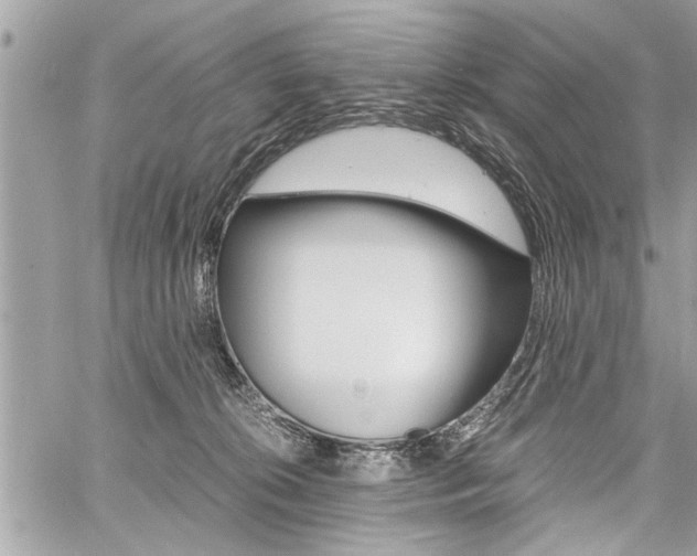 X0000060800276200511101018