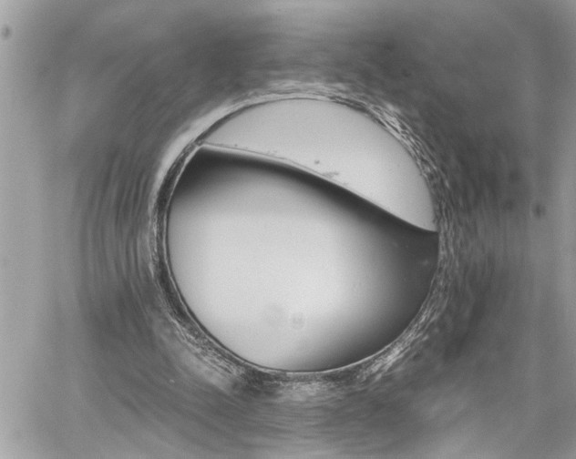 X0000060800342200511101016