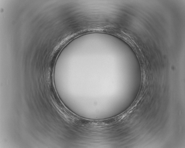 X0000060800346200511101016