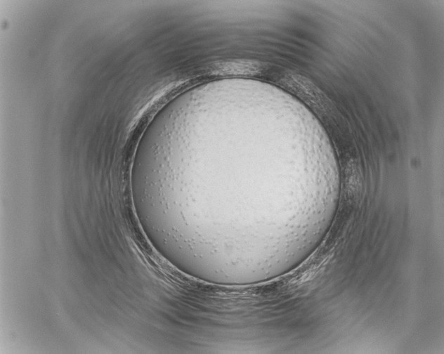 X0000060800351200511101016