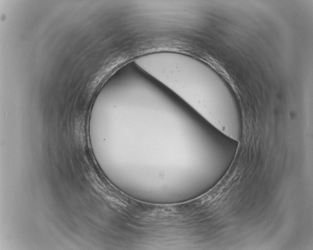 X0000060800386200511101015