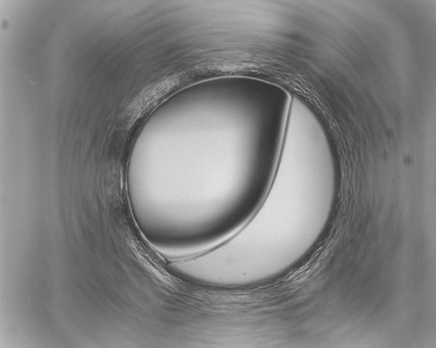 X0000060800397200511101015