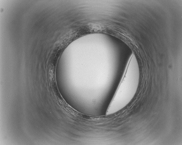 X0000060800417200511101015