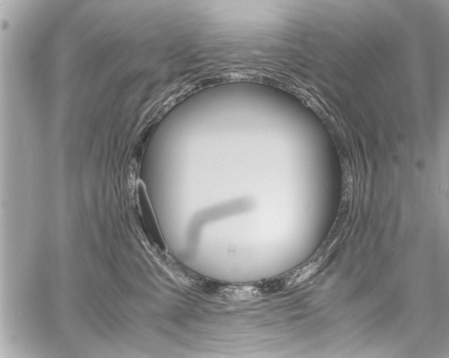 X0000060800427200511101015