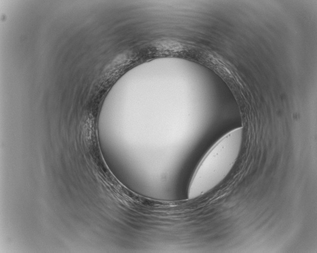 X0000060800463200511101014