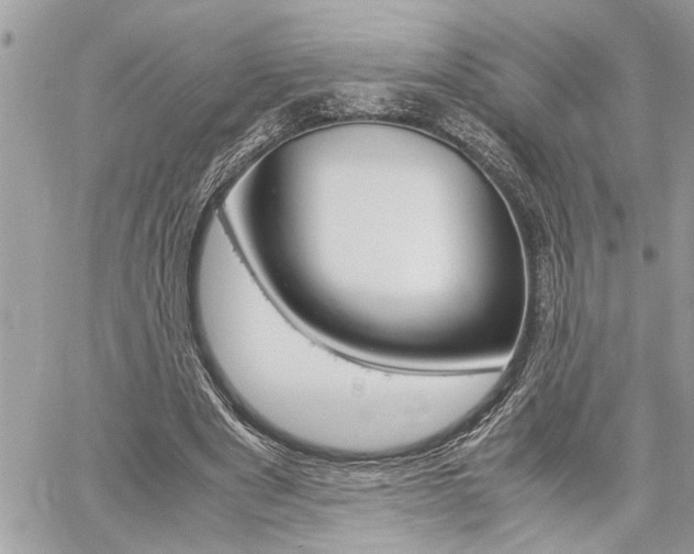 X0000060800489200511101014