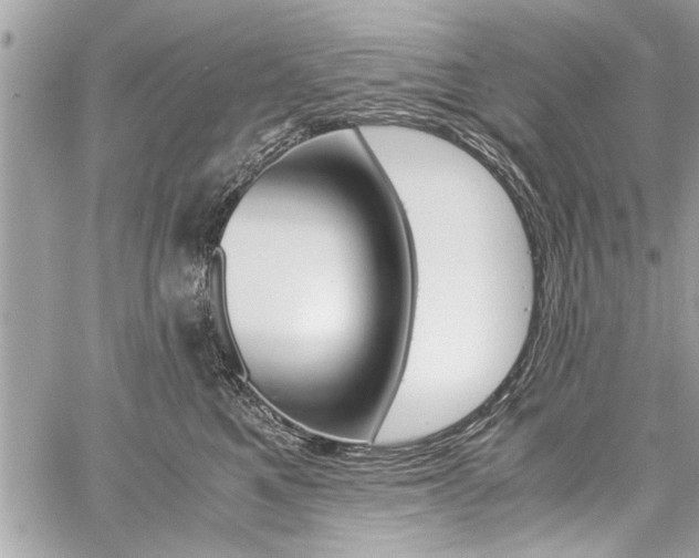 X0000060800521200511101013