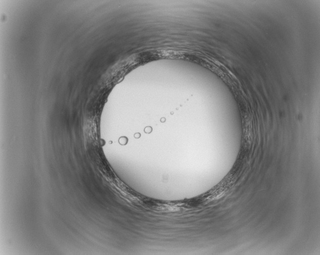 X0000060800523200511101013
