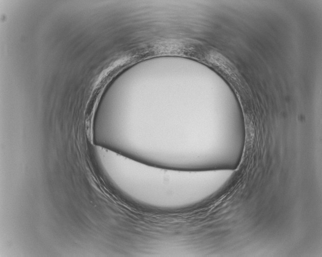X0000060800583200511101012
