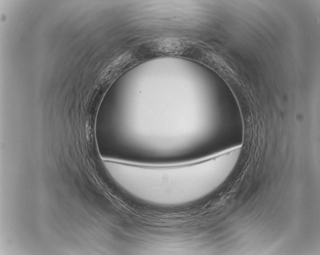 X0000060800597200511101012