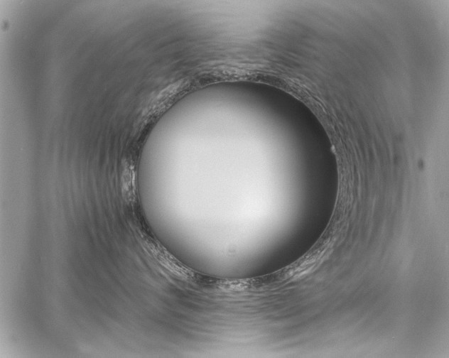 X0000060800624200511101011