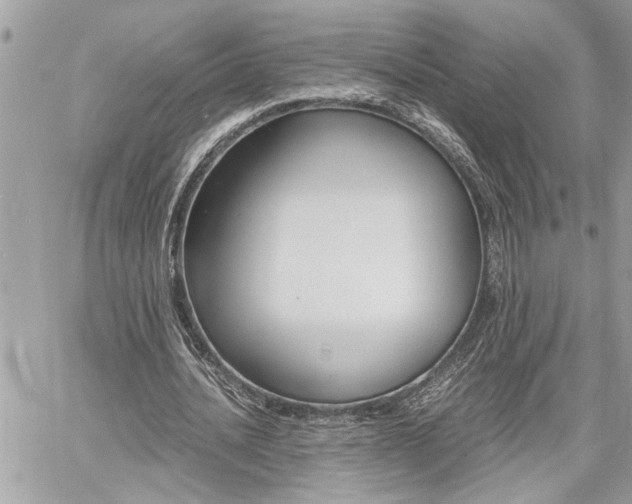 X0000060800628200511101011