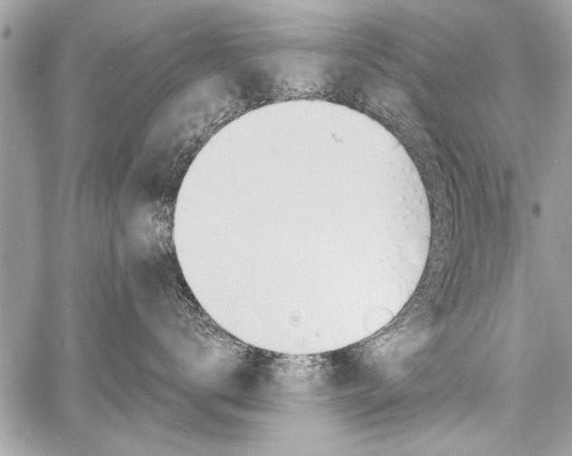 X0000060800672200511101011