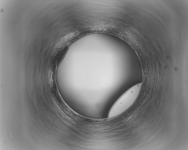 X0000060800692200511101010