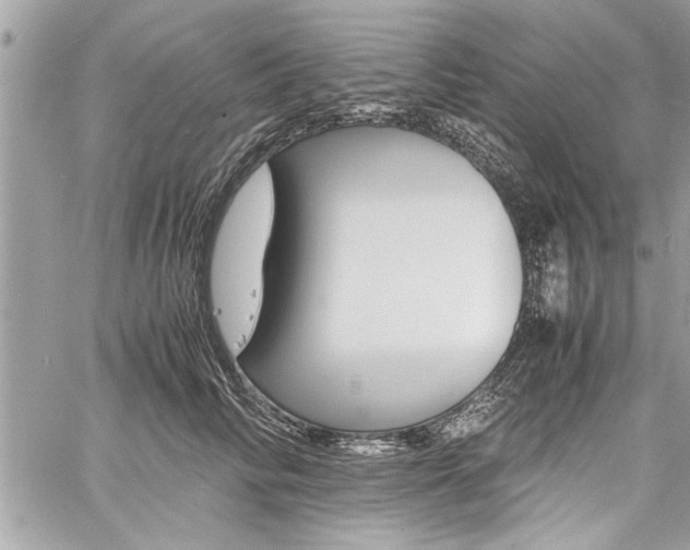 X0000060800710200511101010