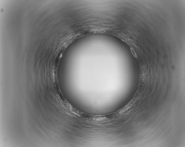 X0000060800716200511101010