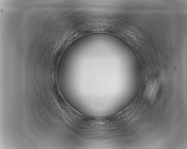 X0000060800743200511101009