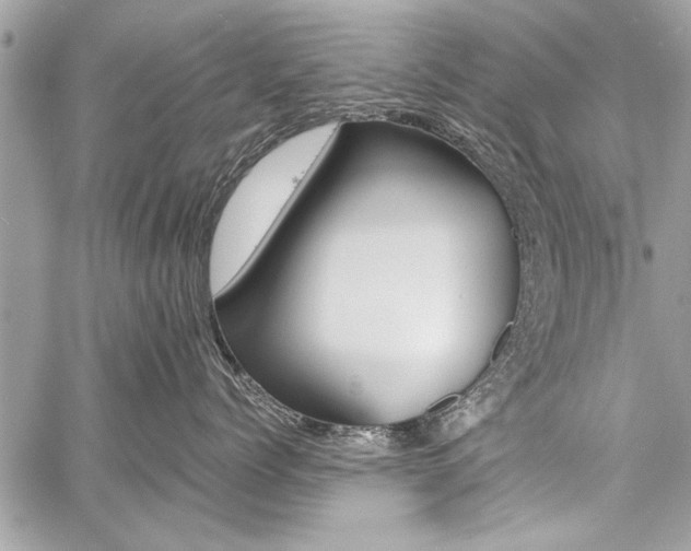 X0000060800768200511101010