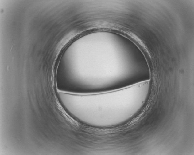 X0000060800791200511101009
