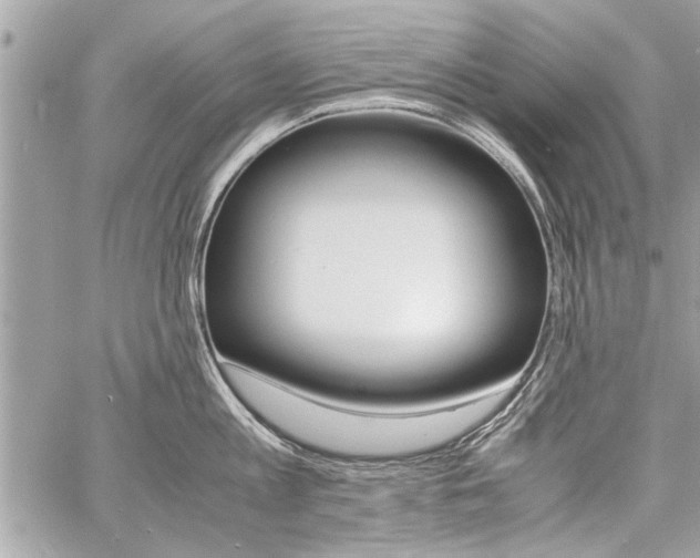 X0000060800813200511101008