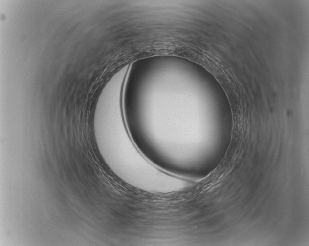 X0000060800818200511101007