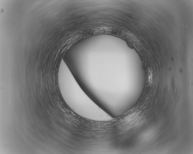 X0000060800819200511101007
