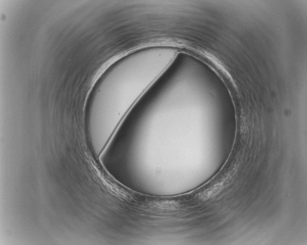 X0000060800837200511101008