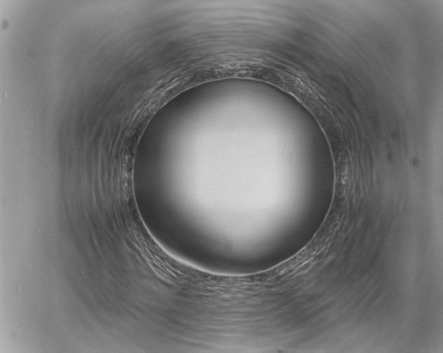 X0000060800868200511101007
