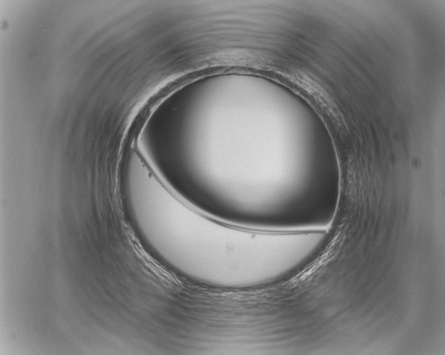 X0000060800880200511101007