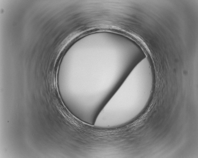 X0000060800887200511101007