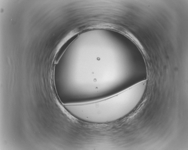 X0000060800909200511101007