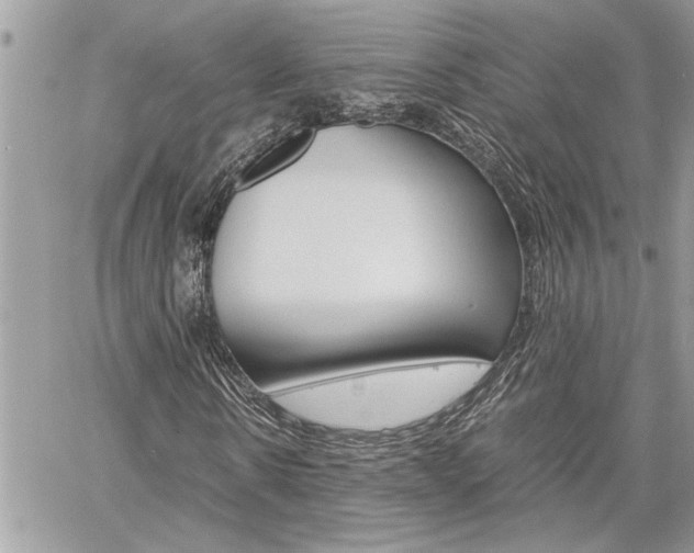 X0000060800914200511101006