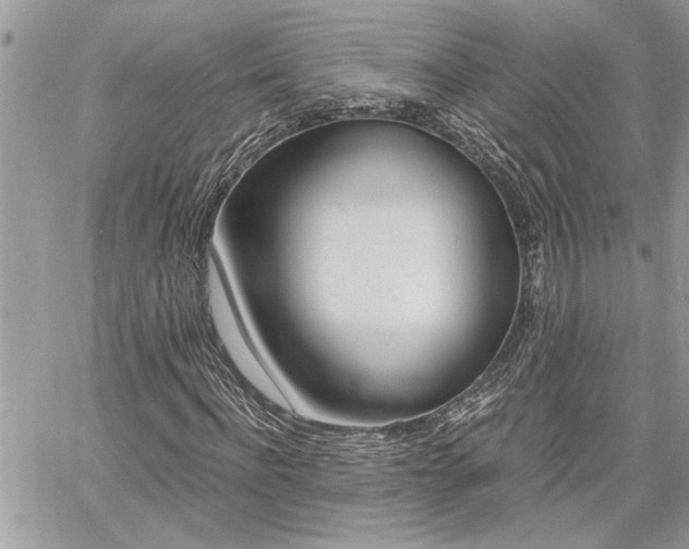 X0000060800916200511101006