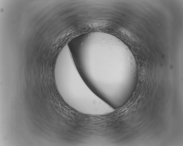 X0000060800917200511101006