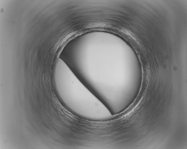 X0000060800921200511101006