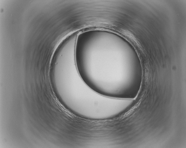 X0000060800924200511101006