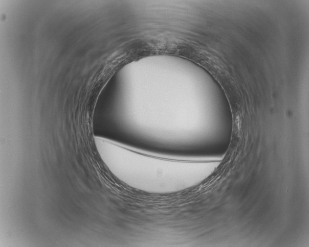 X0000060800963200511101006