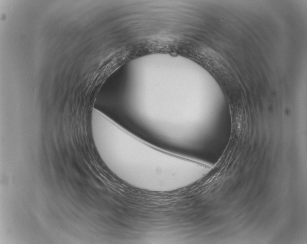 X0000060800964200511101006